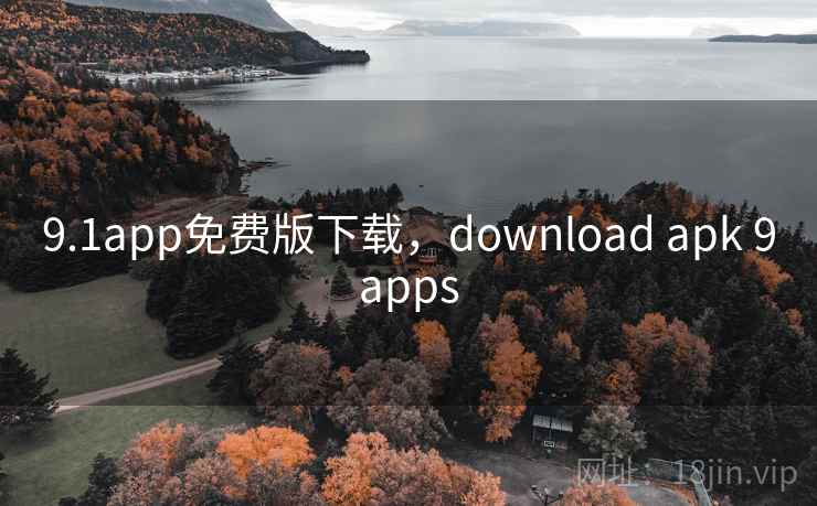 9.1app免费版下载，download apk 9apps