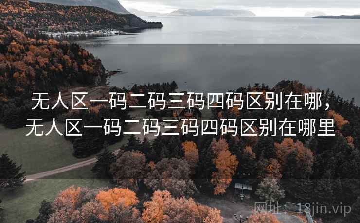 无人区一码二码三码四码区别在哪，无人区一码二码三码四码区别在哪里
