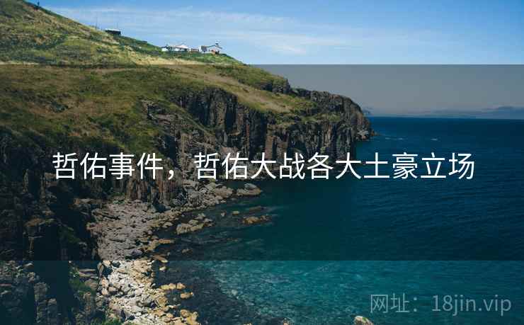 哲佑事件,哲佑大战各大土豪立场 哲佑事件,哲佑大战各大土豪立场