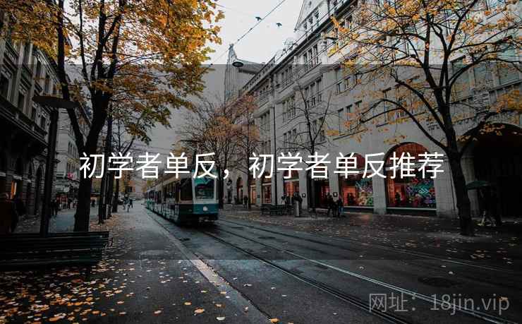 初学者单反,初学者单反推荐 初学者单反,初学者单反推荐